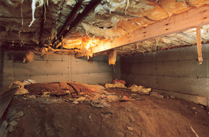 Before view of dirt Crawl Space in Lynchburg