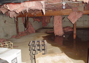 fiberglass insulation dripping off the ceiling of a crawl space in Germantown.