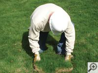 Restoring the landscaping by replacing removed sod on the ground for a Rockville home.