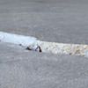Slab floor cracks showing in a Staunton home
