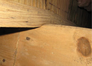 A failing girder showing signs of compression damage in a Virginia & Maryland home