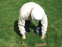 Restoring the landscaping by replacing removed lawn sections for a Fredericksburg home.